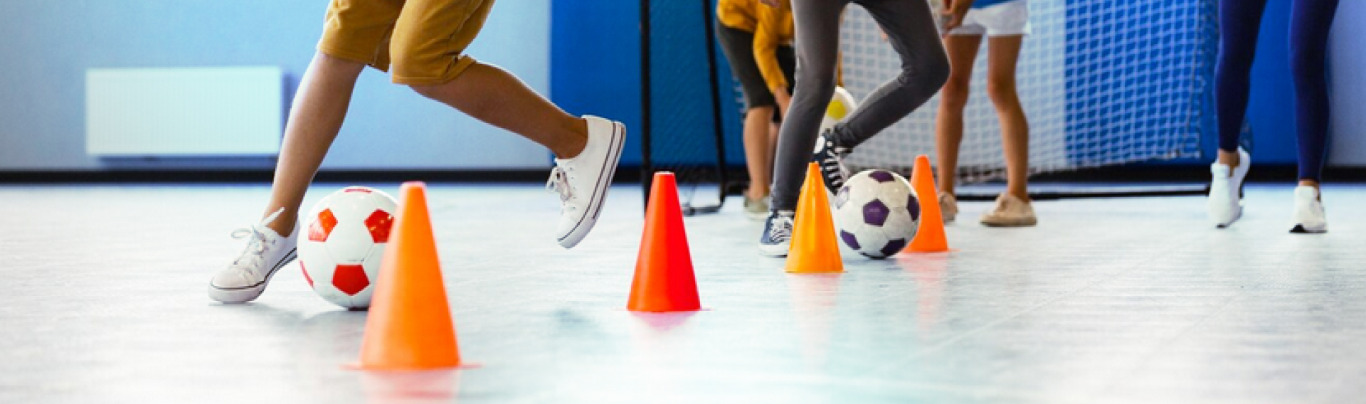 JOGOS, BRINQUEDOS E BRINCADEIRAS NA EDUCAÇÃO FÍSICA